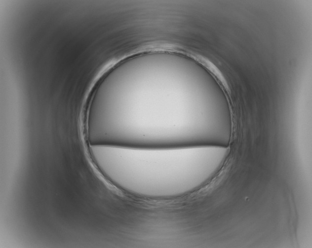 X0000112210997200908071259