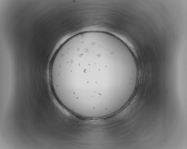 X0000112210998200908071259