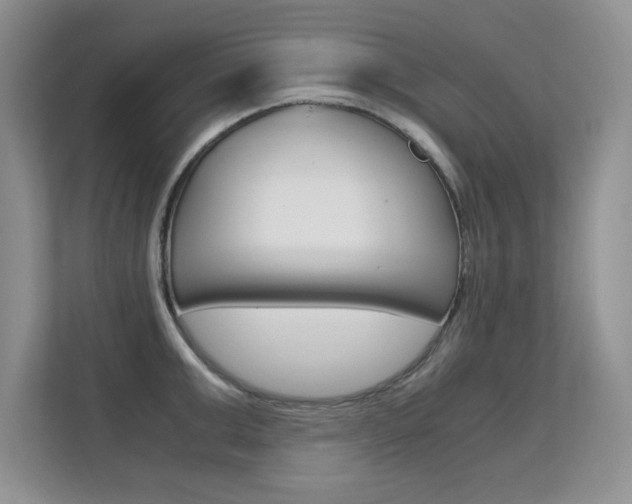 X0000112210999200908071259