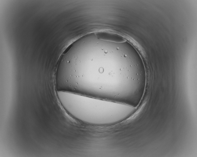 X0000112211001200908071259