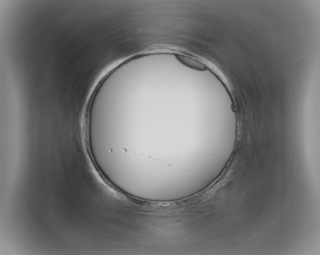 X0000112211003200908071259