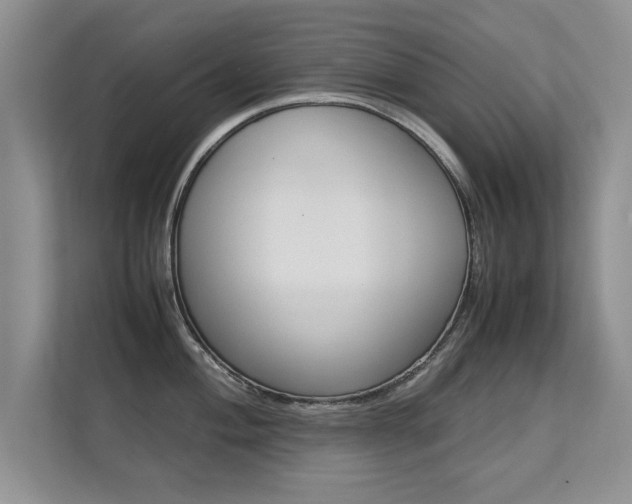 X0000112211004200908071259