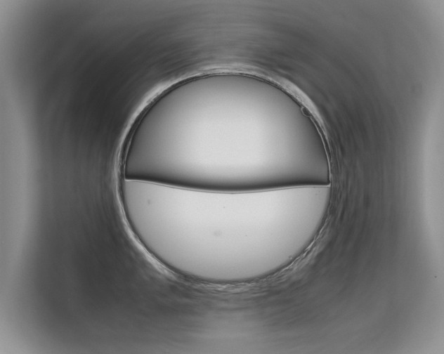 X0000112211005200908071259