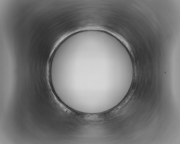 X0000112211006200908071259