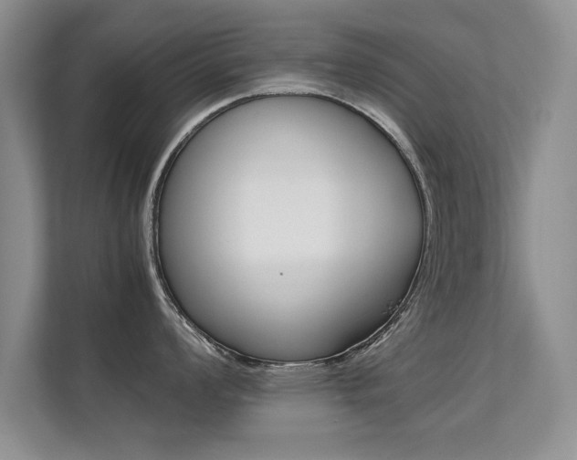 X0000112211008200908071259