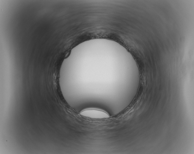 X0000112211010200908071258