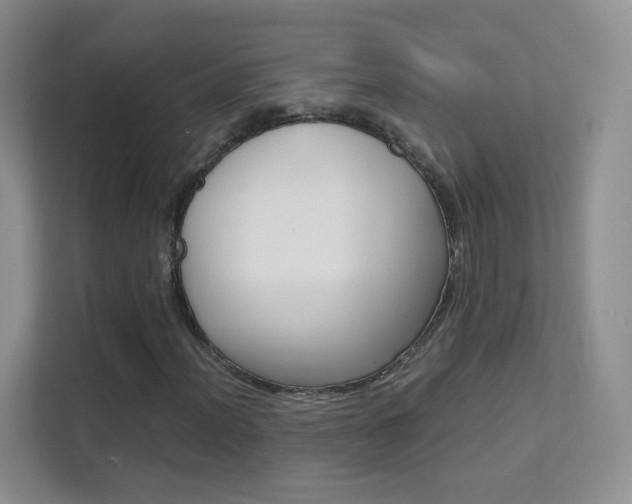 X0000112211012200908071258