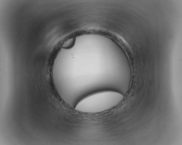 X0000112211016200908071258