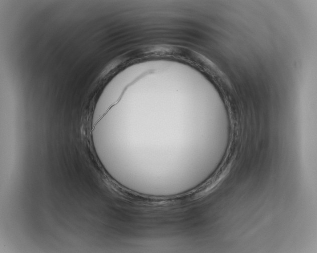 X0000112211017200908071258