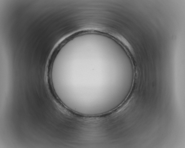 X0000112211020200908071259
