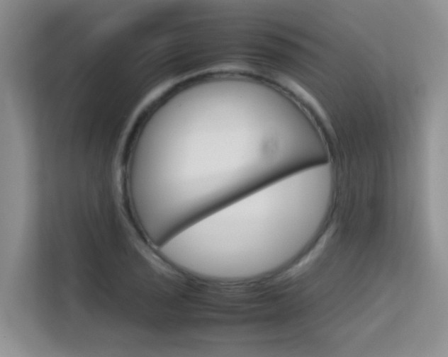 X0000112211029200908071259