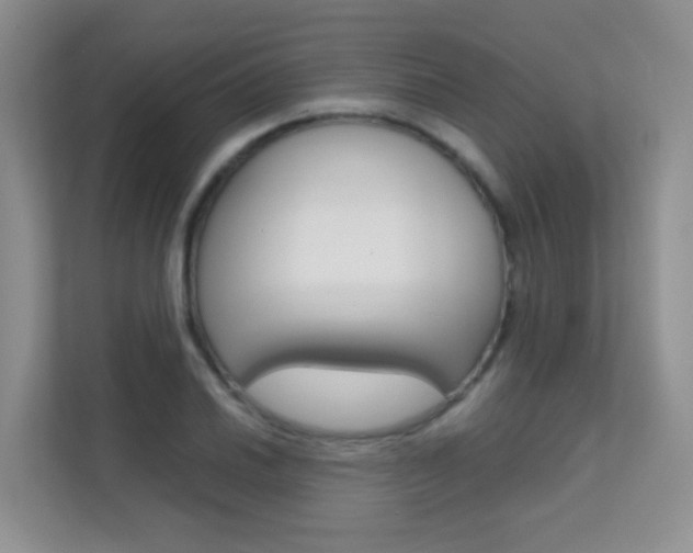 X0000112211030200908071259