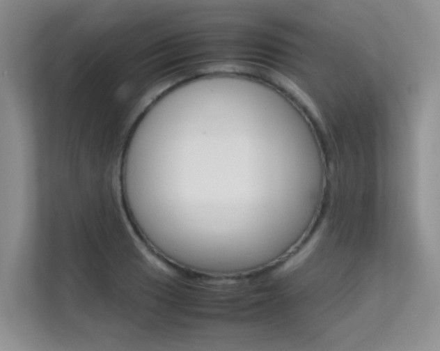 X0000112211033200908071259