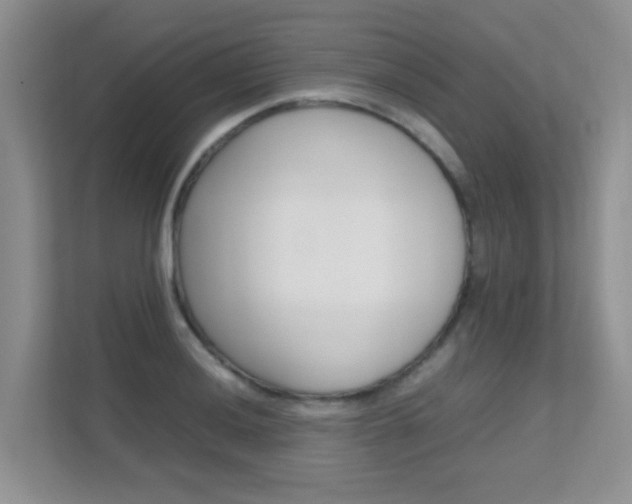 X0000112211036200908071259