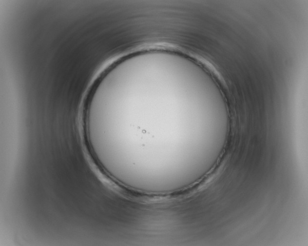 X0000112211038200908071259