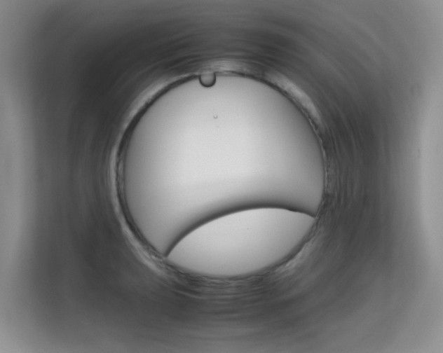 X0000112211039200908071259