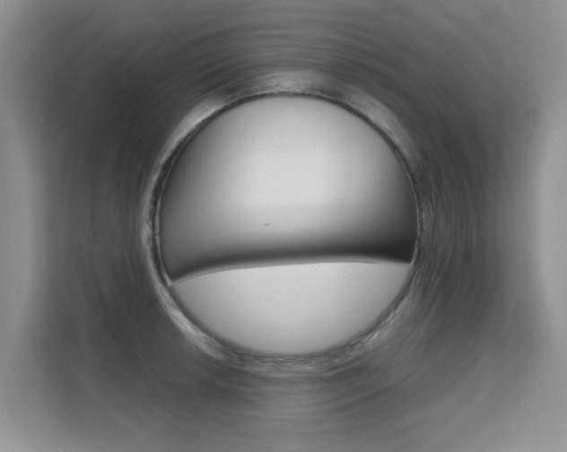 X0000112211042200908071259