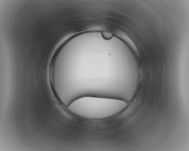 X0000112211043200908071259
