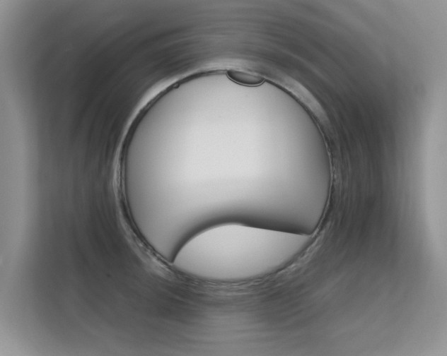 X0000112211044200908071259