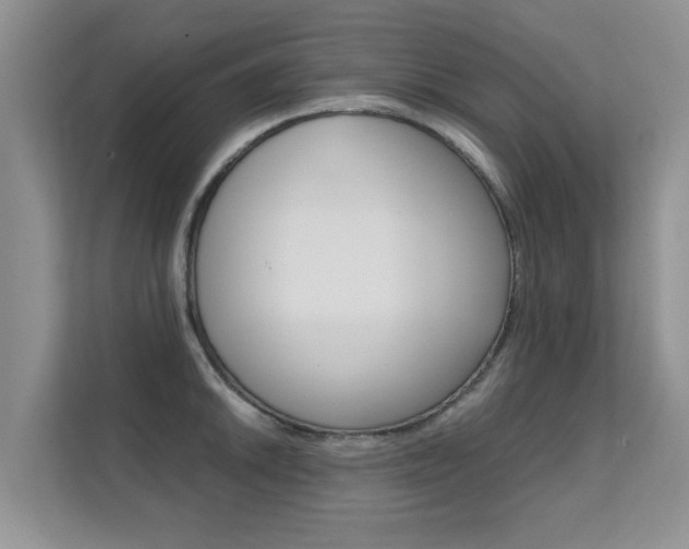 X0000112211046200908071259