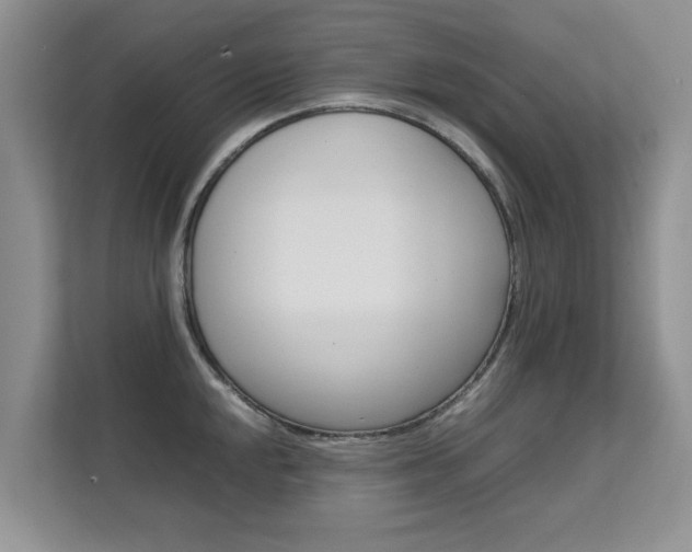 X0000112211048200908071259