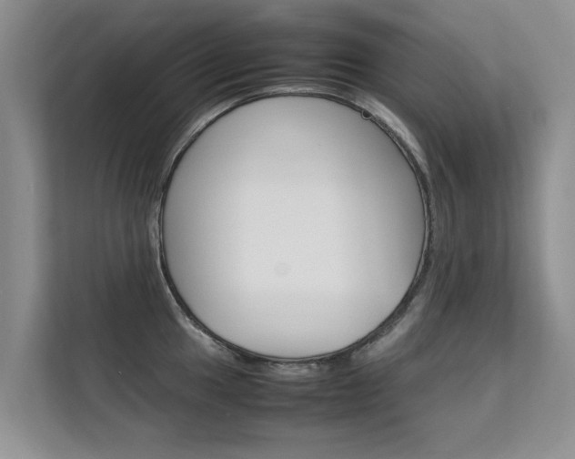X0000112211049200908071259