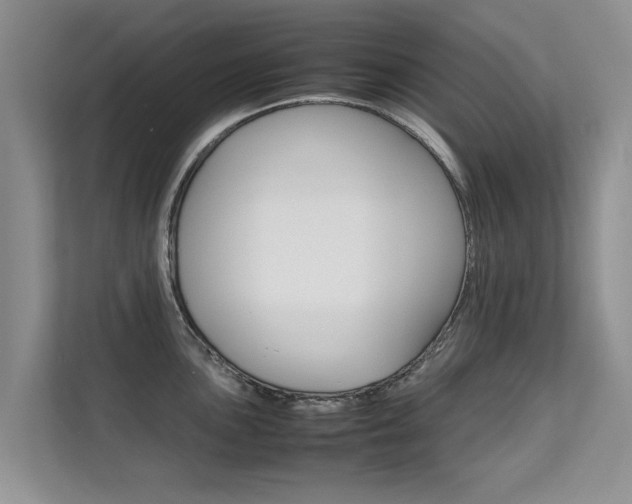 X0000112211051200908071259