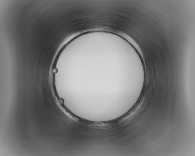 X0000112211053200908071259