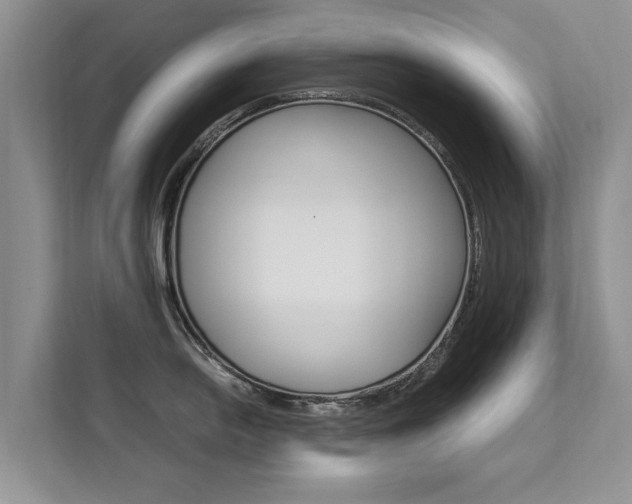 X0000112211054200908071259