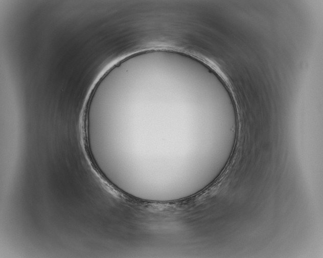 X0000112211056200908071259
