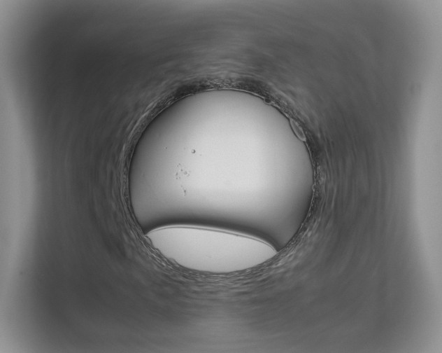 X0000112211057200908071258