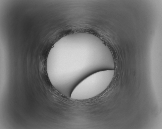 X0000112211059200908071258