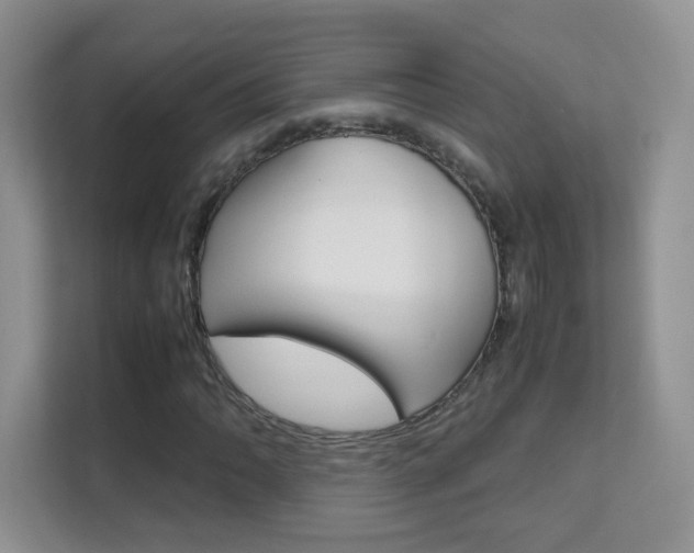 X0000112211062200908071258