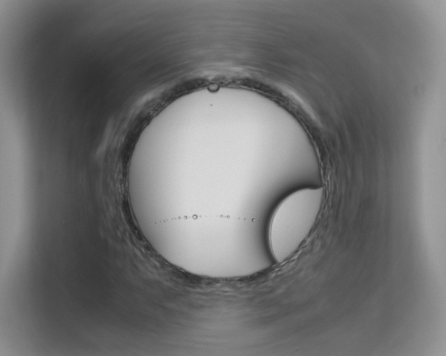 X0000112211063200908071258