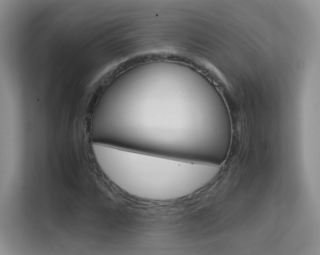 X0000112211064200908071258