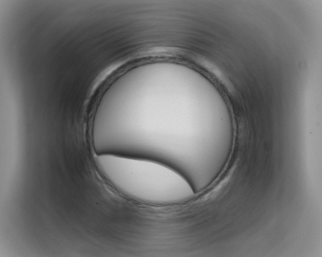 X0000112211066200908071258