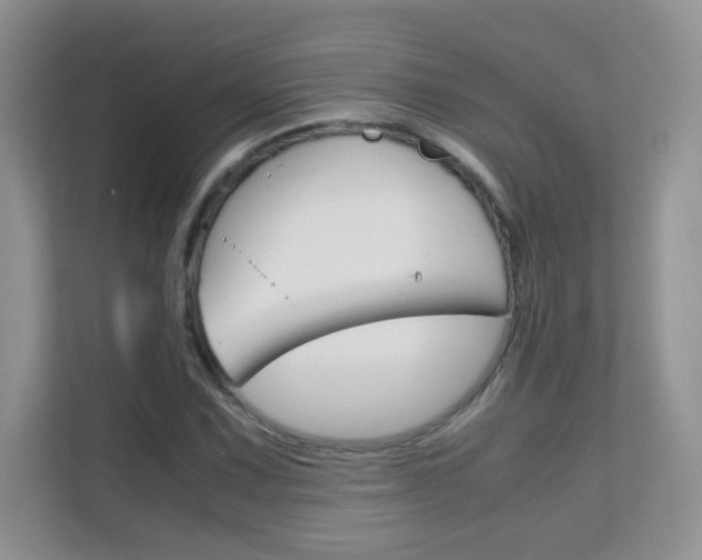 X0000112211067200908071258