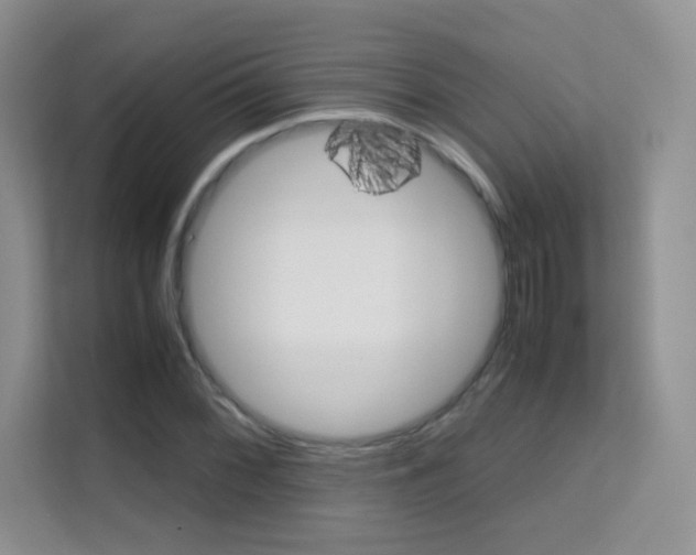 X0000112211068200908071258