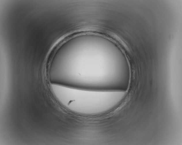 X0000112211069200908071258