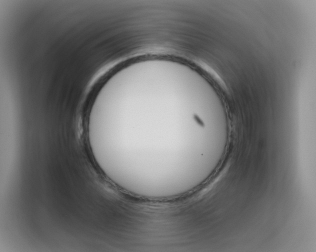 X0000112211070200908071258
