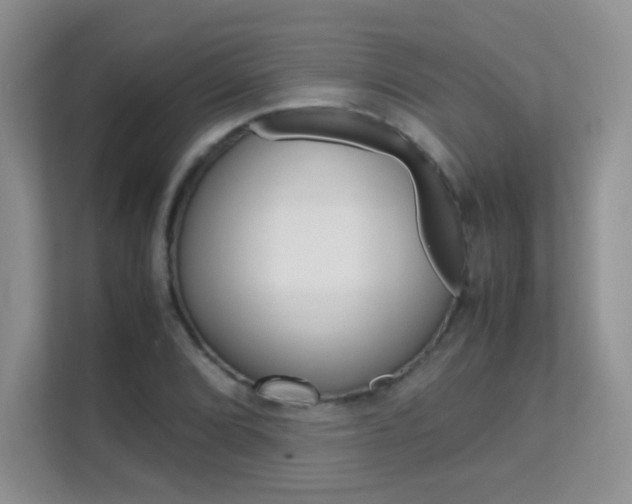 X0000112211072200908071258