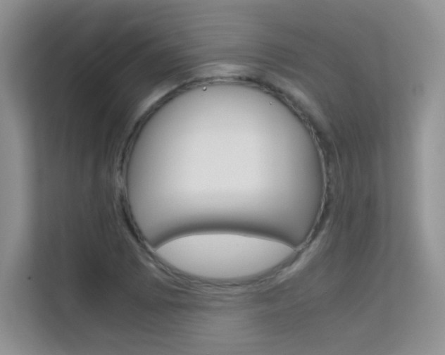X0000112211073200908071258