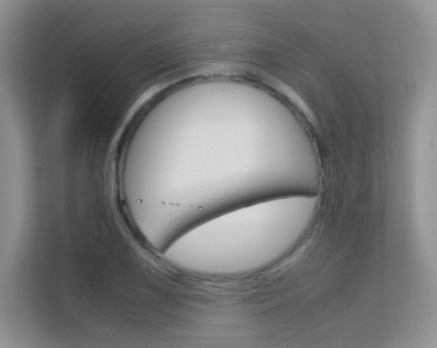X0000112211075200908071258