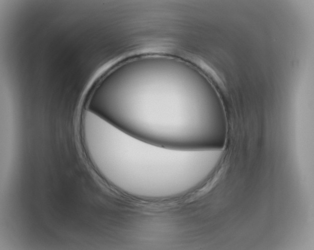 X0000112211077200908071258