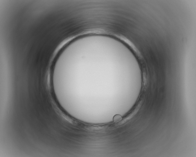 X0000112211078200908071258