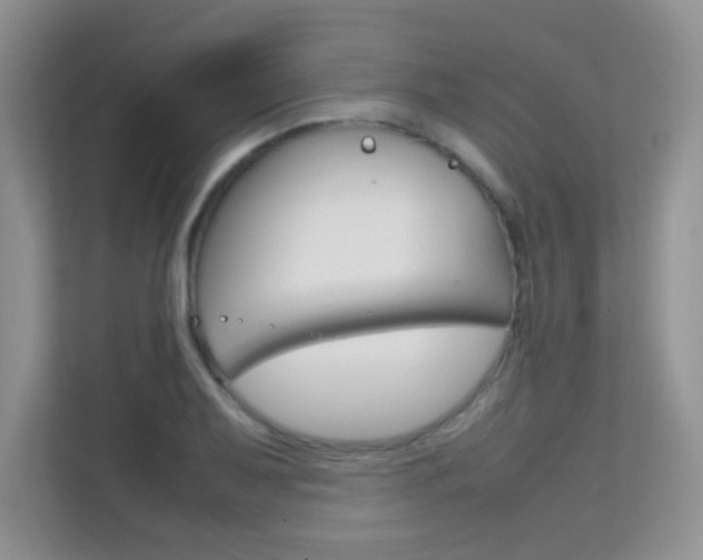 X0000112211079200908071258