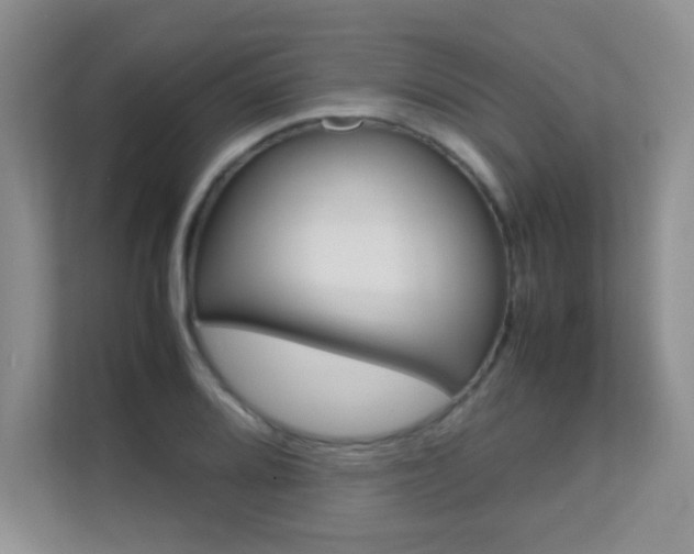 X0000112211080200908071258