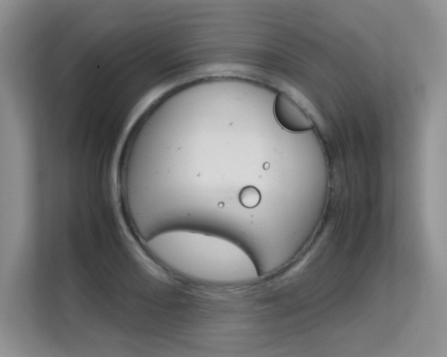 X0000112211082200908071258