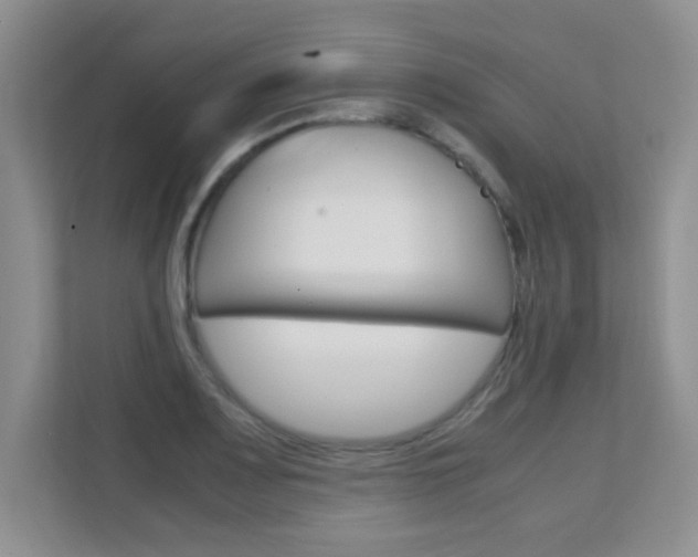 X0000112211083200908071258