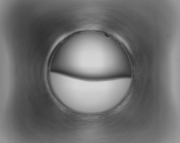 X0000112211085200908071258